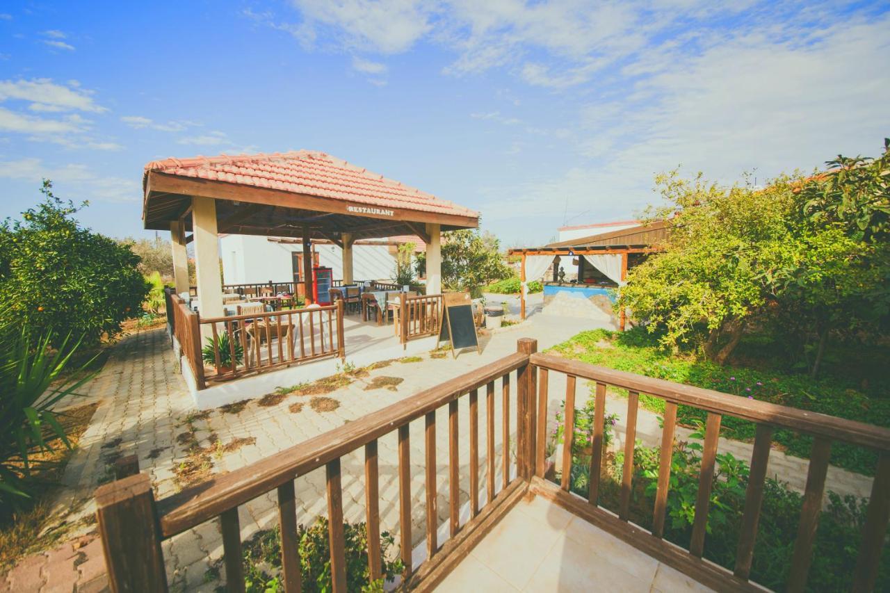 Castle Karpasia Guest House Authentic Atmosphere ! Rizokarpaso エクステリア 写真