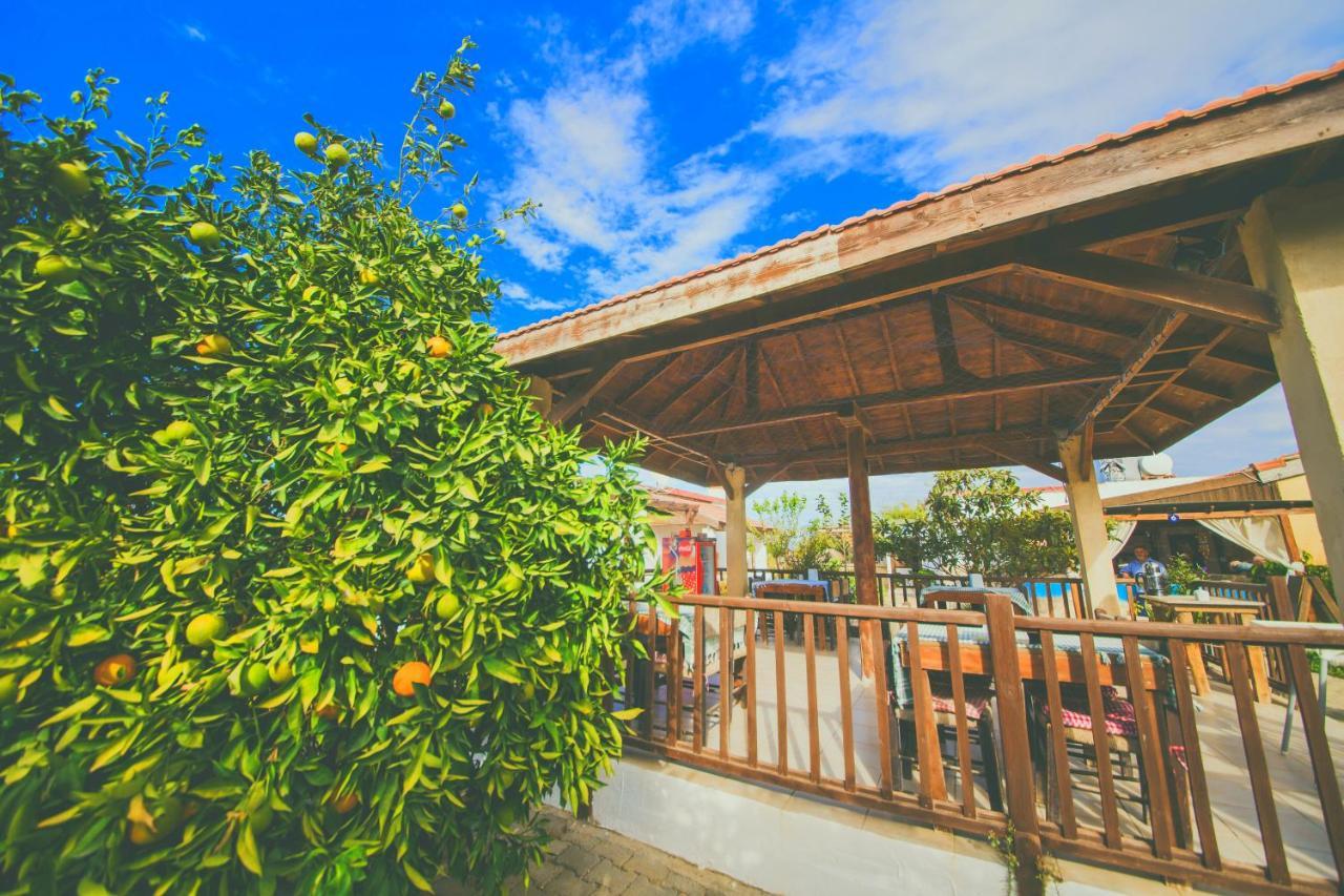 Castle Karpasia Guest House Authentic Atmosphere ! Rizokarpaso エクステリア 写真